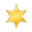 gold police star