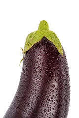 Sticker - Eggplant on the white background