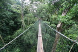 Fototapeta Mosty linowy / wiszący - most linowy