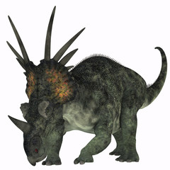 Poster - Styracosaurus on White