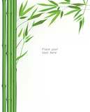 Fototapeta Sypialnia - bamboo floral background. Wooden border with copy space.