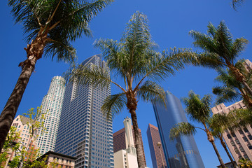 Fototapete - LA Downtown Los Angeles Pershing Square palm tress