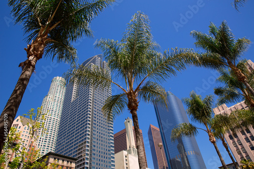 Fotografía LA Downtown Los Angeles Pershing Square palm tress