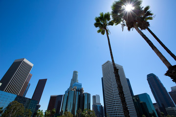 Fototapete - Downtown LA Los Angeles skyline California from 110 fwy