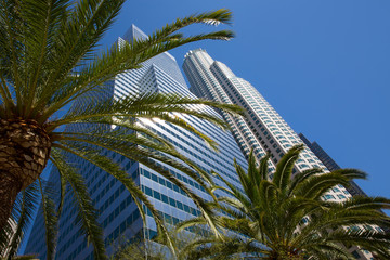 Sticker - Downtown LA Los Angeles skyline California palm trees