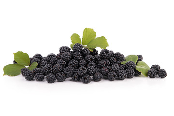 Poster - isolated blackberries