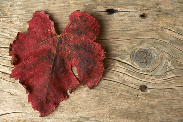 Autumn red grape leaves over wooden background.