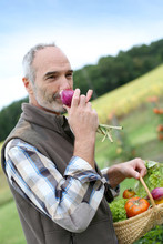 Mature Man In Garden Smelling Vegetable's Aromas