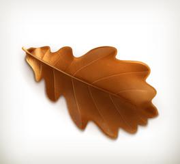 Wall Mural - Oak leaf