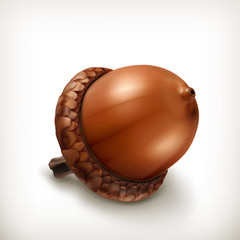 Wall Mural - acorn icon
