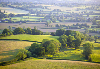 Wall Mural - Idyllic rural farmland, Cotswolds UK