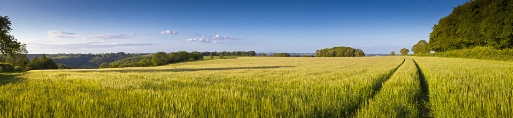 Wall Mural - Dramatic sky, Idyllic rural landscape, Cotswolds UK