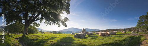 idyllic-rural-lake-district-uk