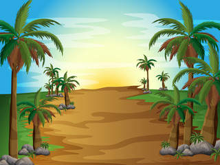 Poster - A forest with many palm trees