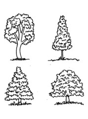 Poster - Hand drawn sketch trees with leaves illustration design