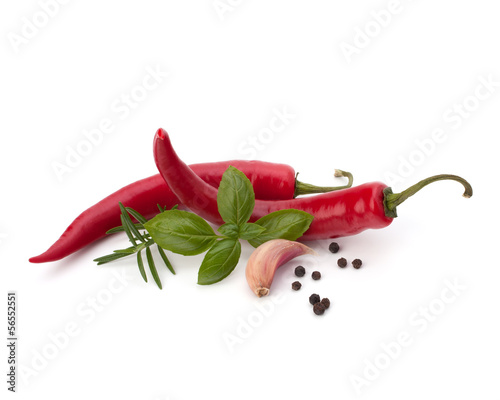 Naklejka - mata magnetyczna na lodówkę Chili pepper and spice