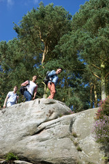 Wall Mural - Group Of Young Men Hiking In Countryside