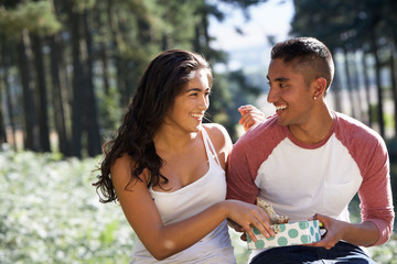 Wall Mural - Young Couple Enjoying Picnic In Countryside