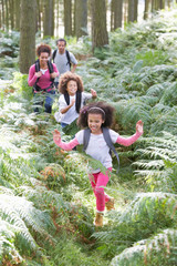 Family Group Hiking In Woods Together