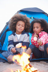 Wall Mural - Children Camping On Beach And Toasting Marshmallows