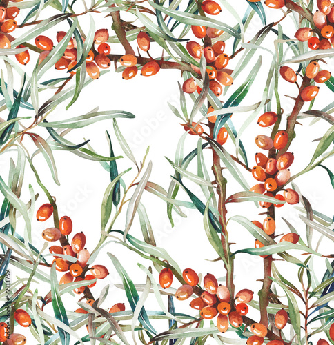 Naklejka - mata magnetyczna na lodówkę Buckthorn Seamless Pattern