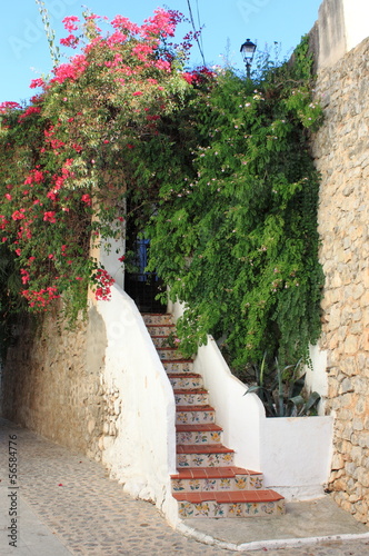 Obraz w ramie Miejskie malownicze miasto Ibiza