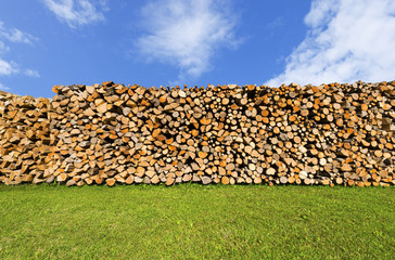 Wall Mural - Pile of Chopped Firewood on Blue Sky