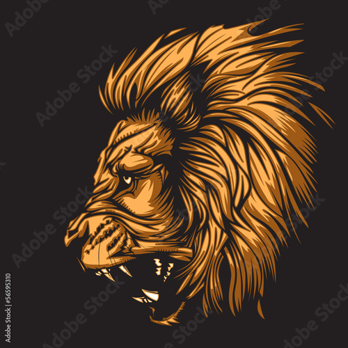 Fényképezés  Zodiac Leo Black