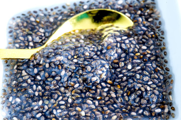 chia saat und saatgel zum abnehmen