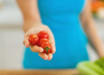 Wall Mural - Closeup on cherry tomato in hand of woman