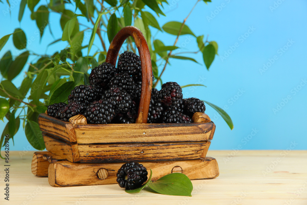 Ripe blackberries in basket