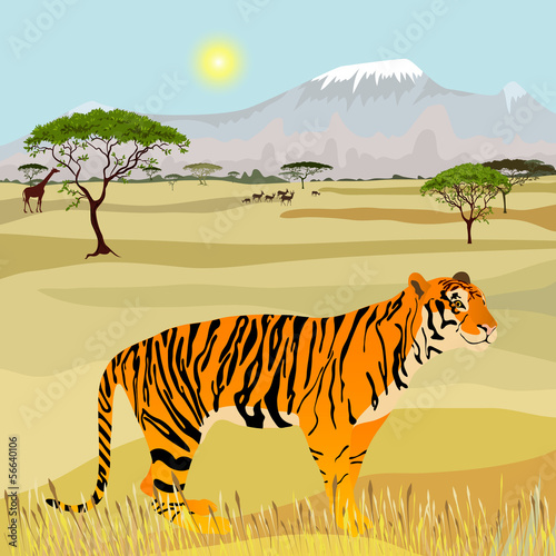 Fototapeta do kuchni African Mountain idealistic landscape with tiger