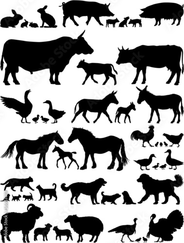Naklejka ścienna Farm animals vector silhouettes collection