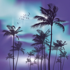 Wall Mural - Palm trees at night in moonlight