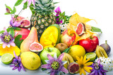 Fototapeta  - Früchte-Vielfalt, freigestellt vor weißem Hintergrund