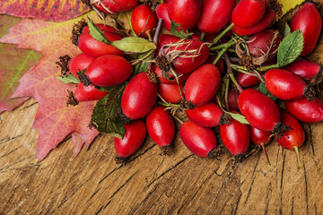 Canvas Print - rosehips