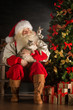 © Milles Studio - Santa Claus sitting near Christmas tree and embracing his cat