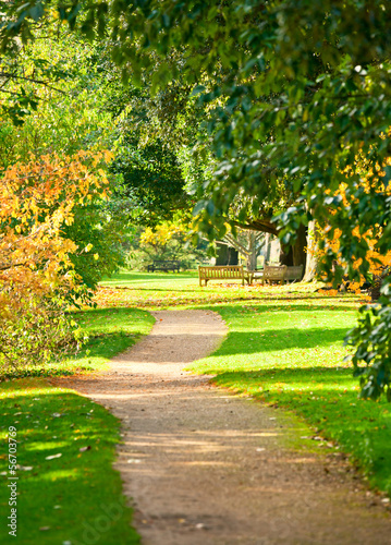 Naklejka na szybę Kew Gardens park