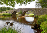 Fototapeta Do pokoju - Stone bridge in Dartmoor National Park in England
