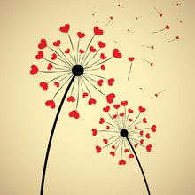 Dandelion With Hearts