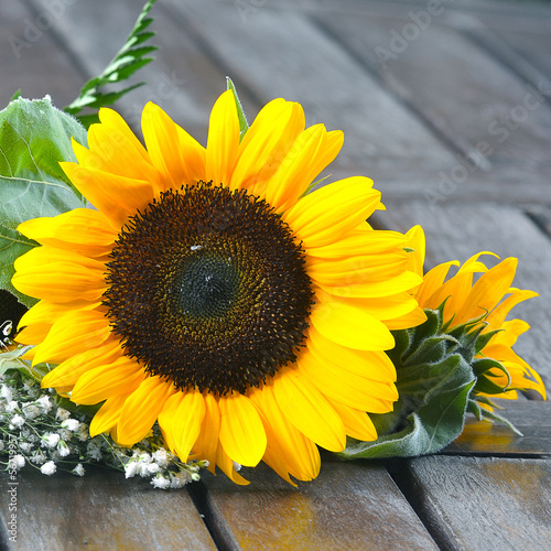 Fototapeta na wymiar Sunflowers on wooden background