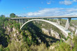 Bridge in Tsitsikamma national park, Garden route, South Africa
