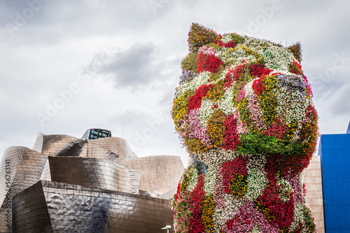 Floral dog in Bilbao Tablou Canvas