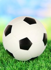 Wall Mural - Soccer ball on green grass on bright background