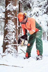 Wall Mural - lumberjack