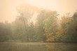 Moody autumn morning in a forest park with a calm pond water