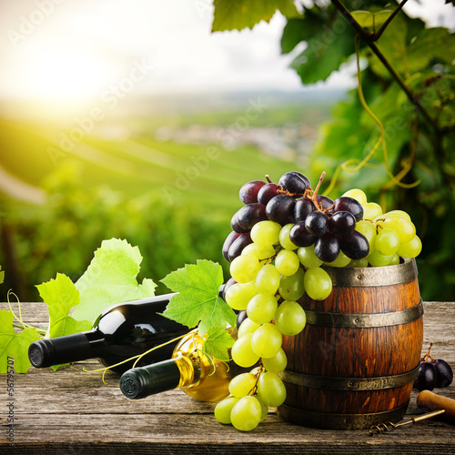 Fototapeta do kuchni Bottles of red and white wine with fresh grape