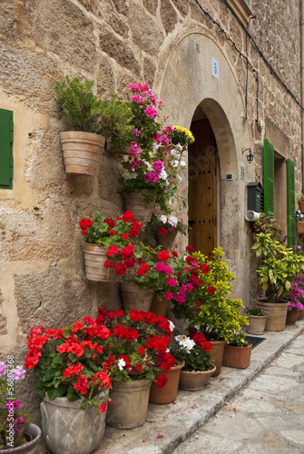 Naklejka na szybę Valldemossa