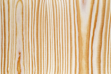 Sticker - texture of pine wood plank