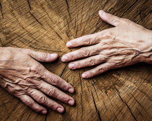 elderly concept - old hands and old tree